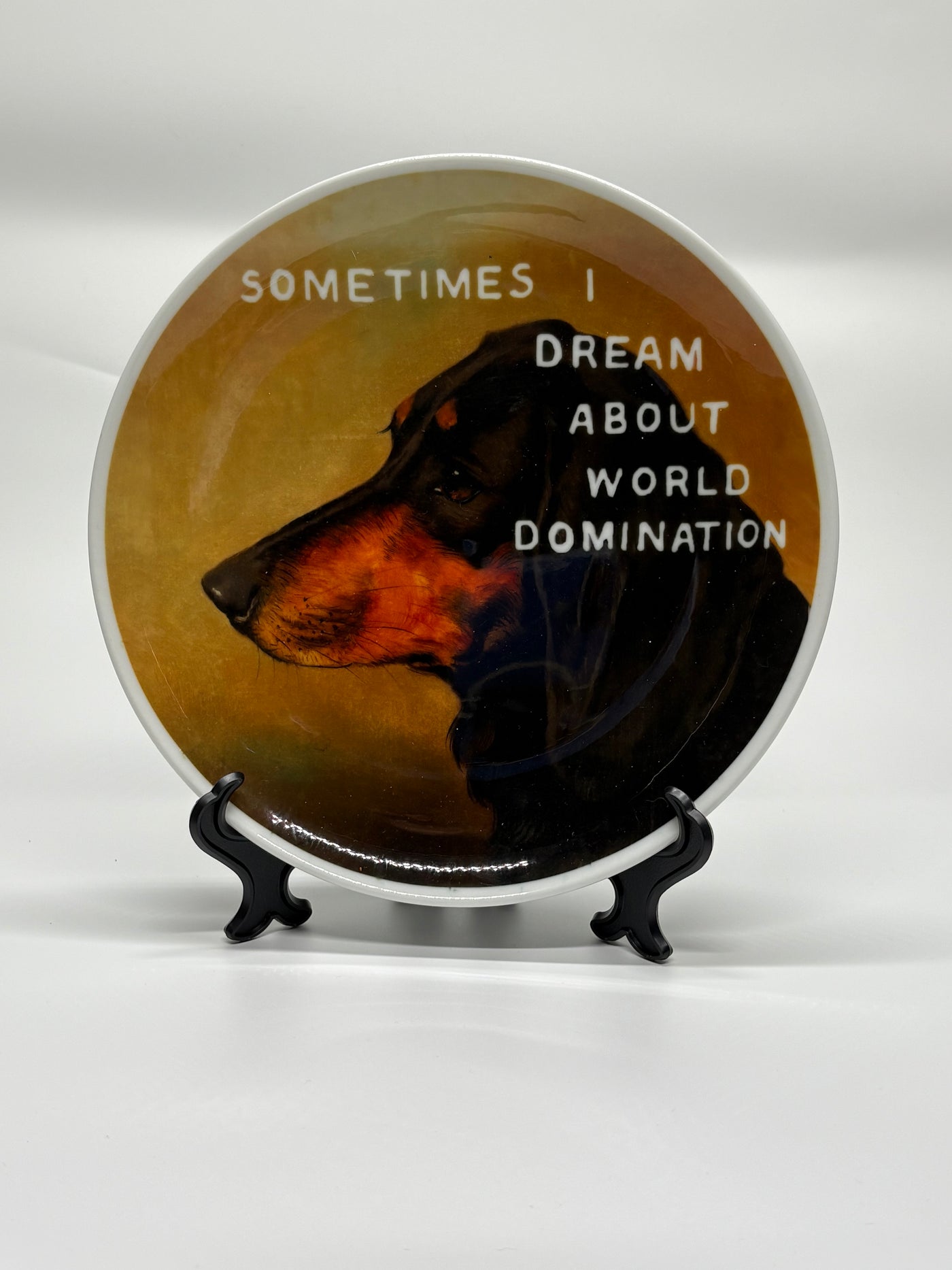 Sometimes I dream about...