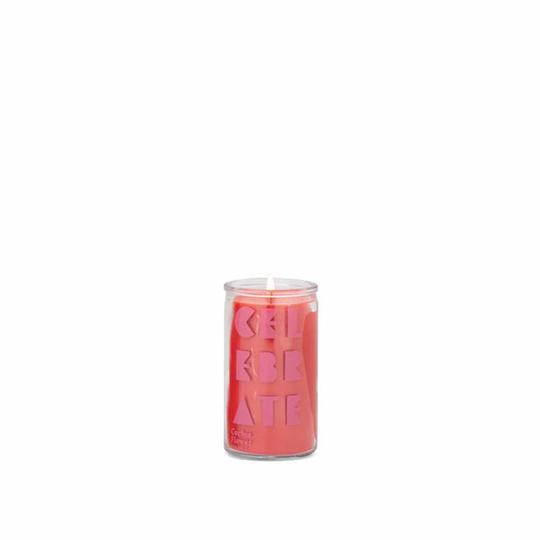 Spark Candle (141g) - Celebrate - Cactus Flower