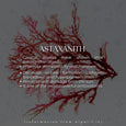 Astaxanthin hylki
